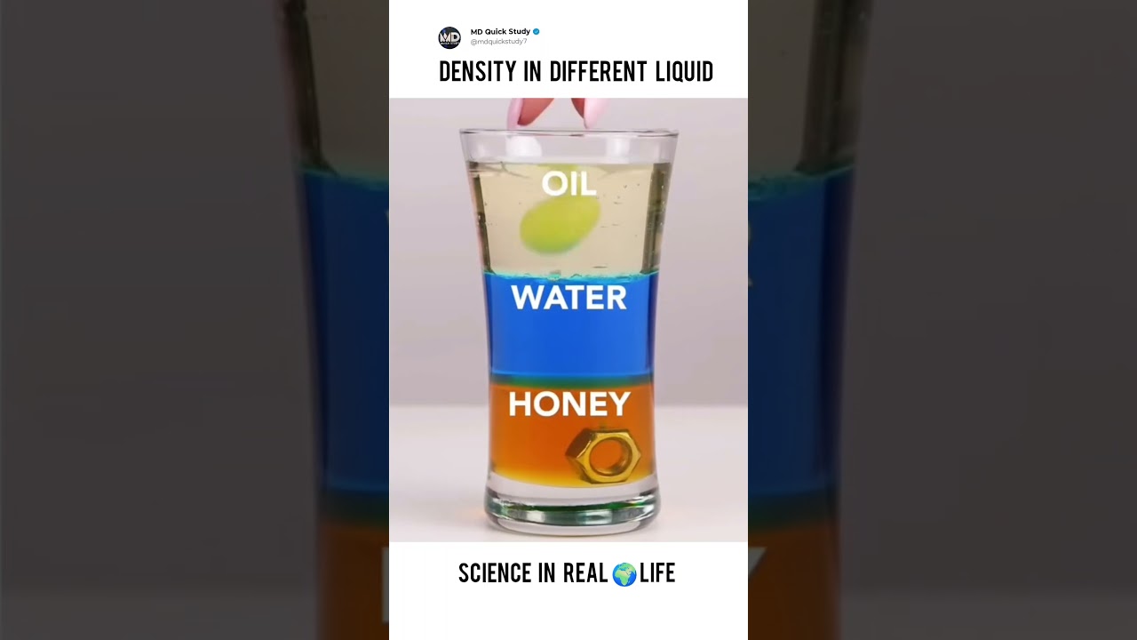 Density in Different Liquid | Science in Real 🌍 Life Experiment #science #expriment