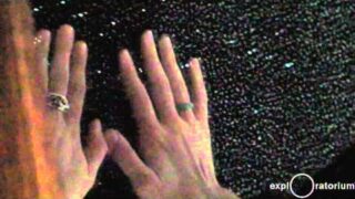 The Explainers: Kate