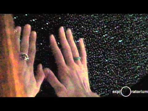 The Explainers: Kate