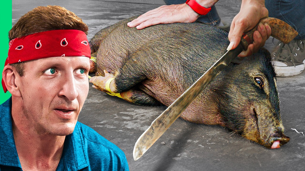 Forbidden Food on Asia’s Biggest Island!! Welcome to Borneo!!