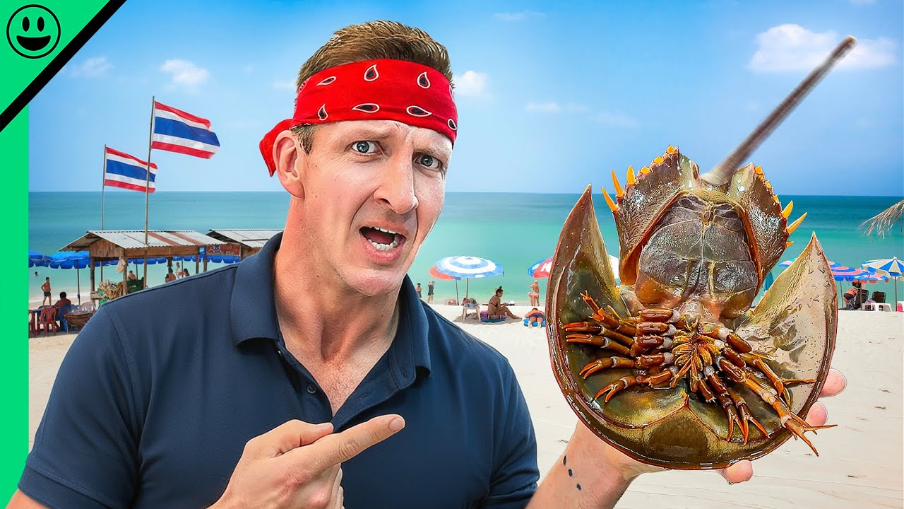 Thailand Seafood Street Food!! Cheapest in Asia!!