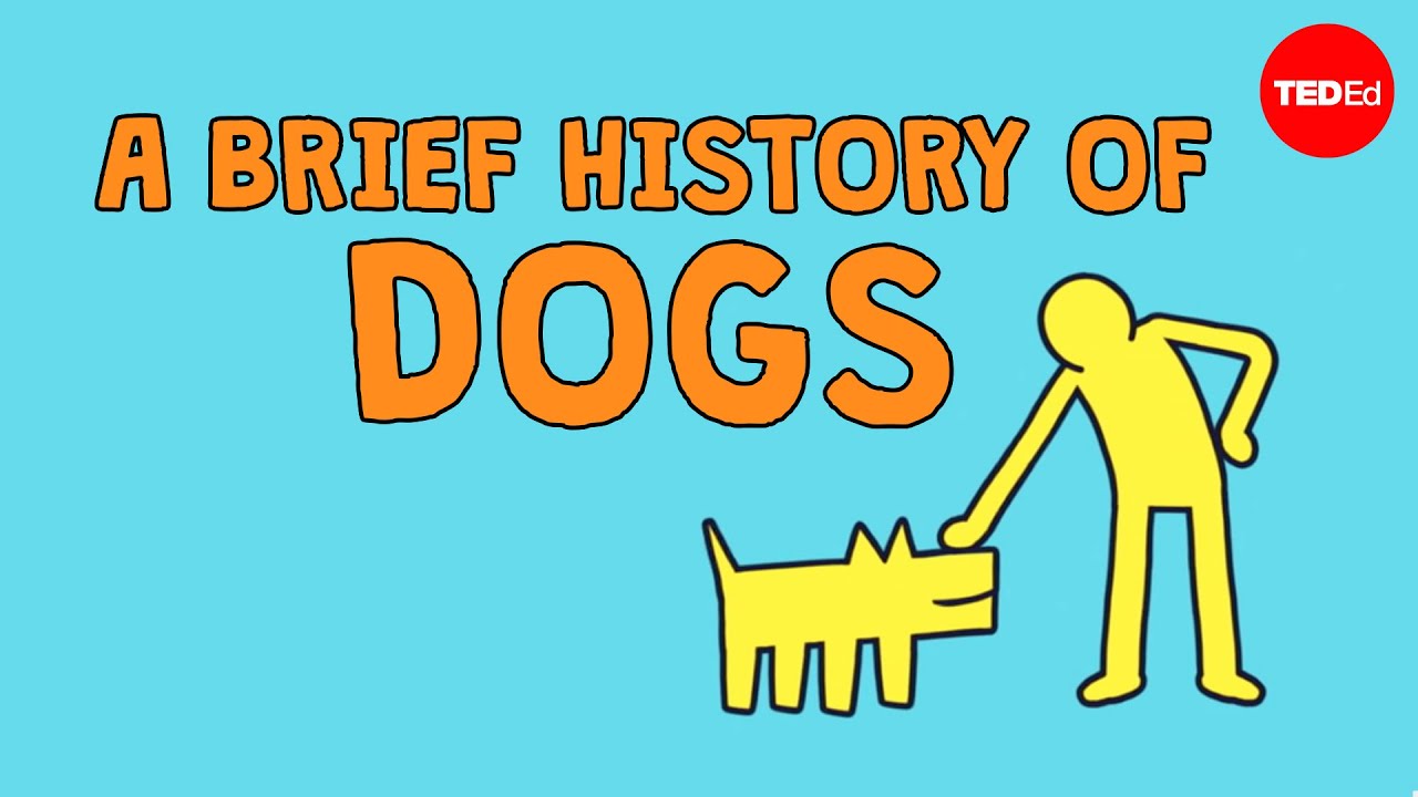 A brief history of dogs – David Ian Howe