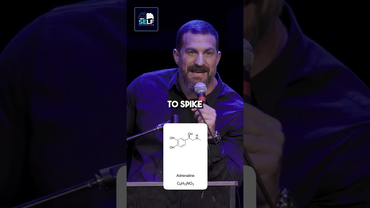 Unlock Memory Retention Secrets with Andrew Huberman: Adrenaline Boost After Studying