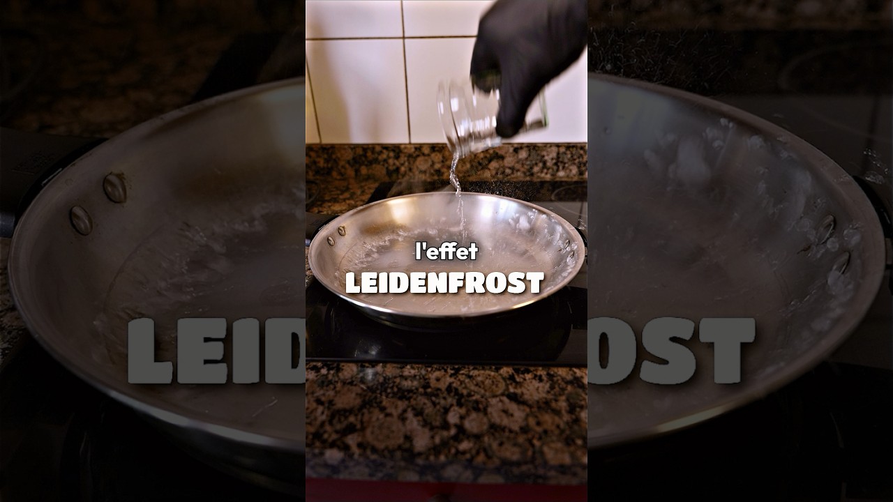 Cette astuce scientifique avec l’eau ! (Effet Leidenfrost) #science #apprendre #cuisine #expérience