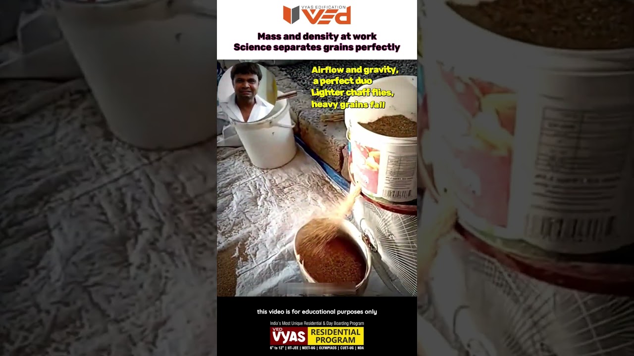 Mass & Density Hack | Science Separates Grains Perfectly! #shorts #viral