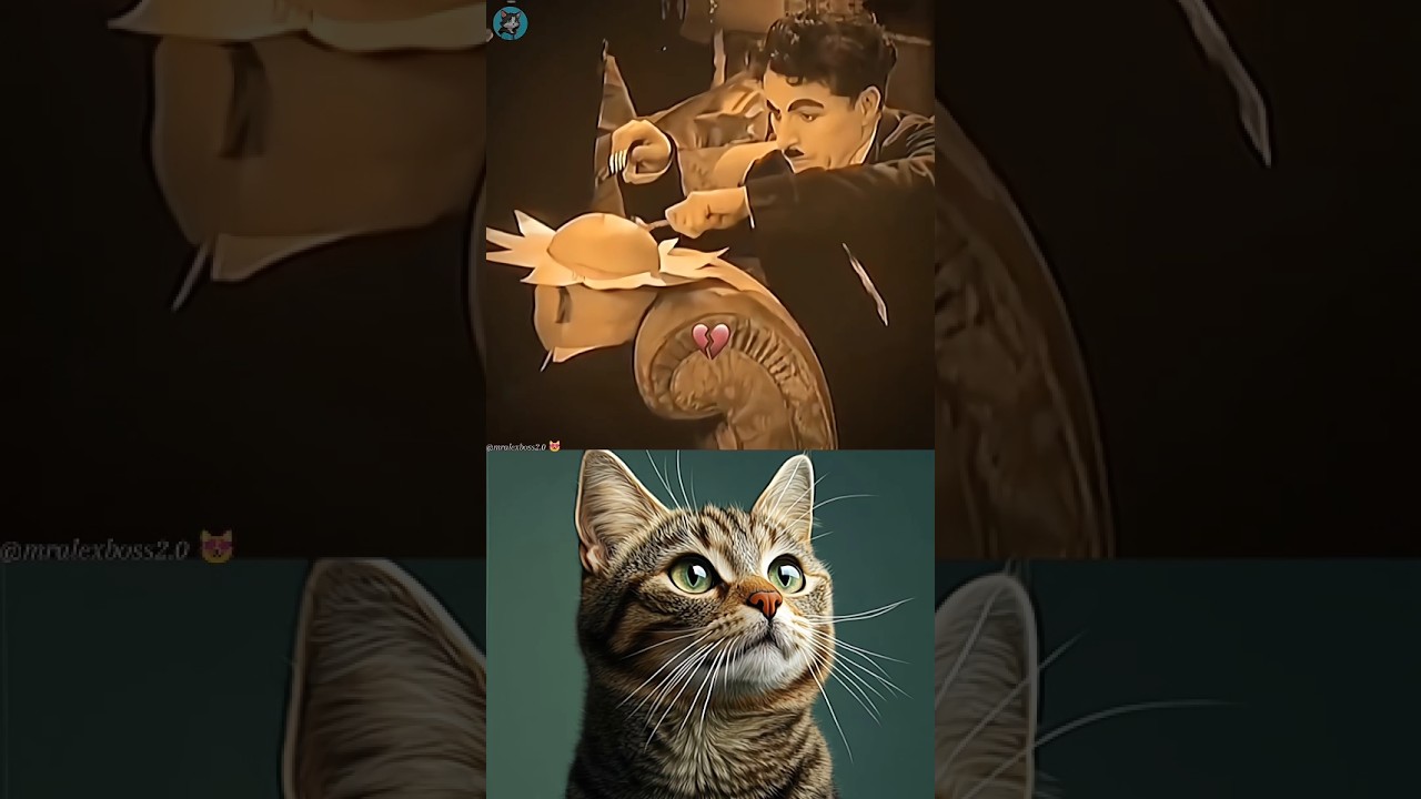 cat reaction 😆😂~mini wood toy woodworking art skill wood hand craft #shorts #catreaction #funny