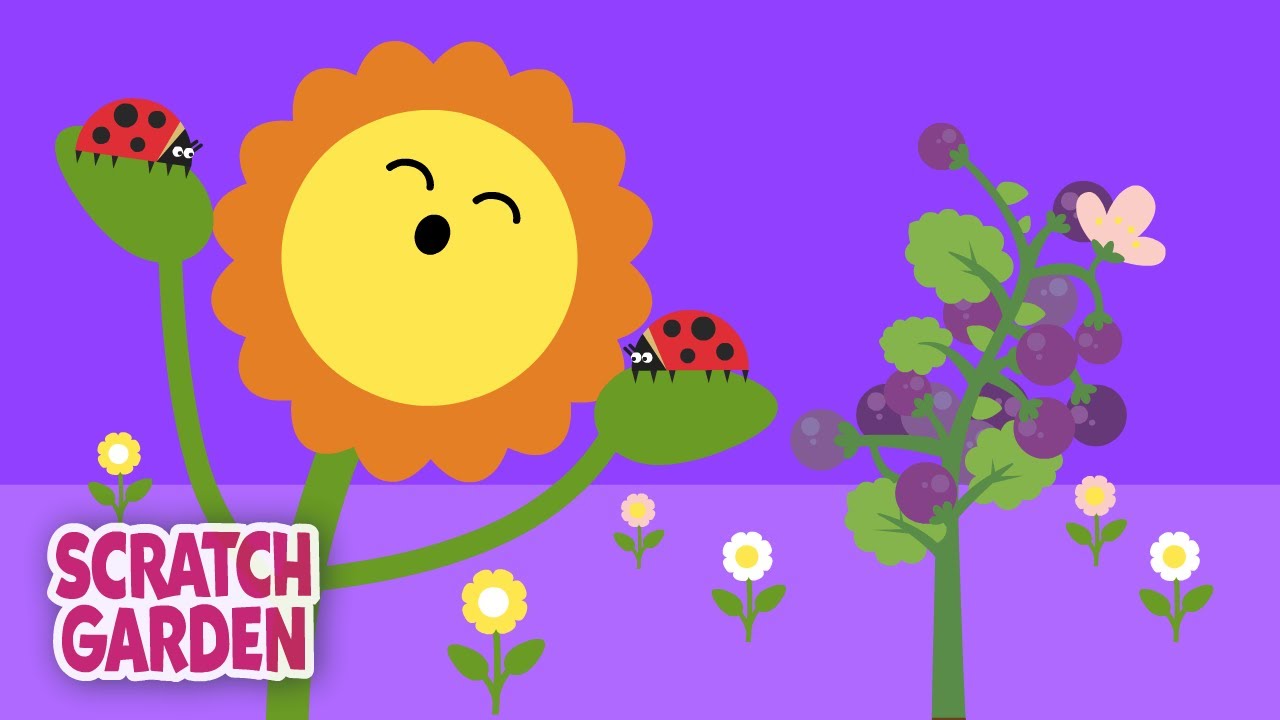 How Do Things Grow? | Science Songs | Science Videos