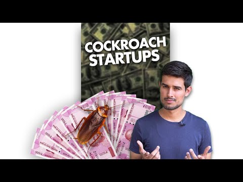 What is a Cockroach Startup?