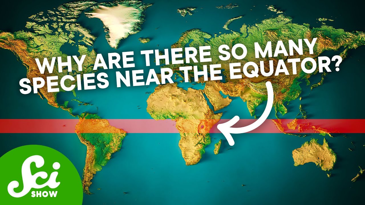 The Biggest Mysteries Science Still Hasn’t Solved | Compilation