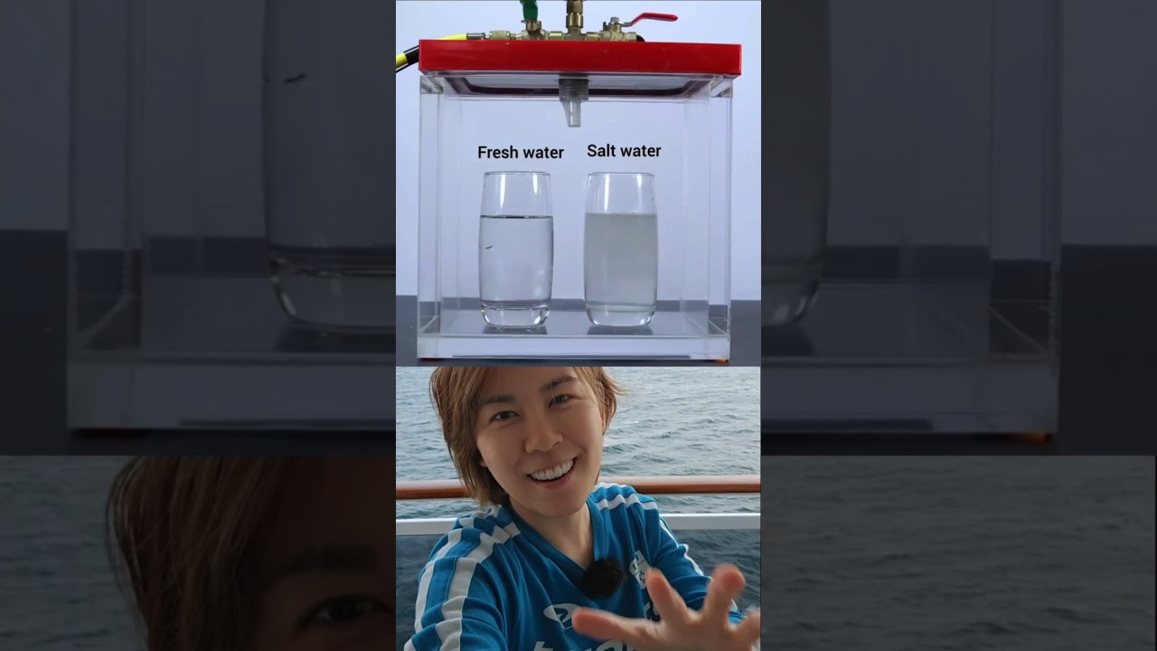 The Surprising Science of Boiling: Fresh vs. Salty Water in a Vacuum!