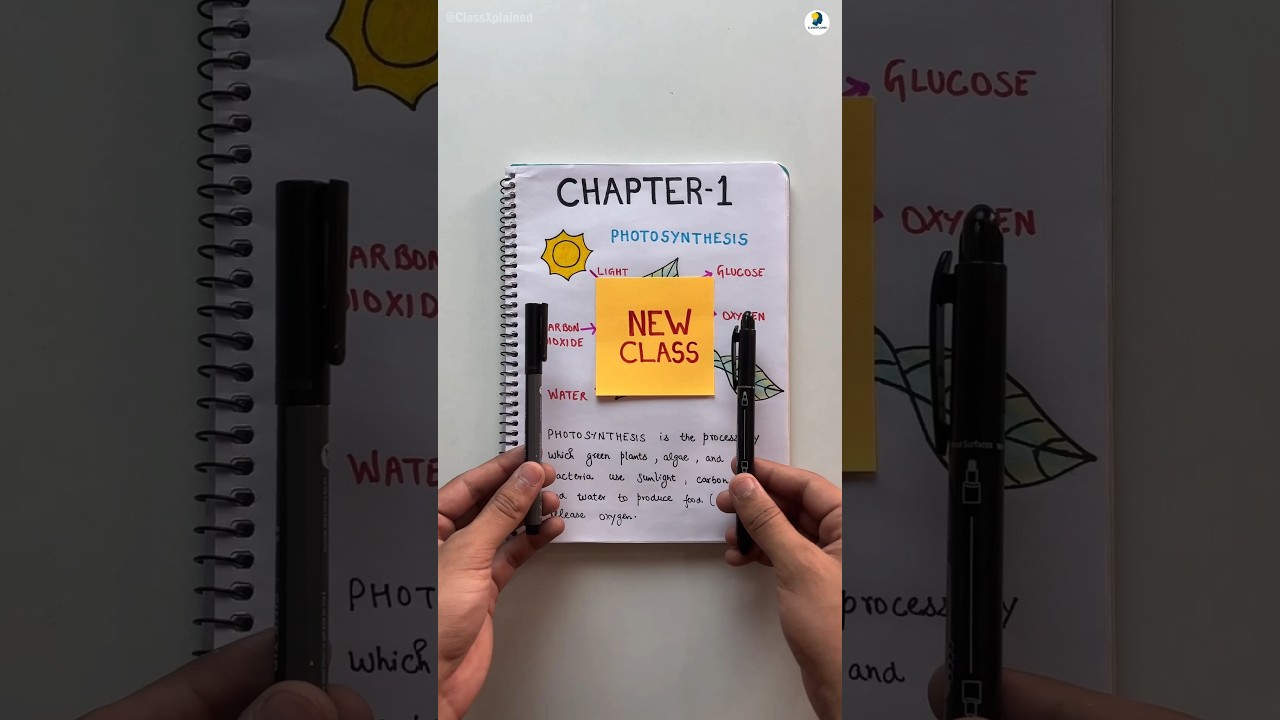 Follow These Tips to Become a Topper and Score Highest Marks🔥#studytips #study #exam