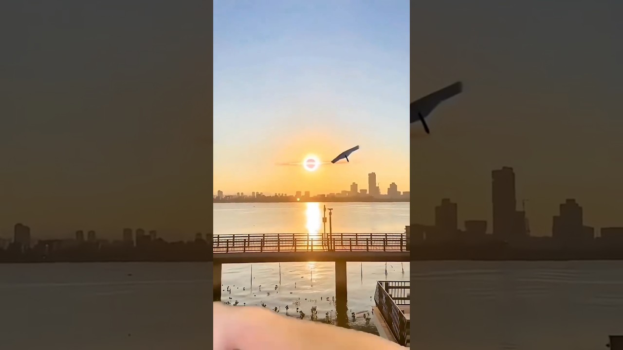 How to make paper plane for kids toy/paper Flying toy #shorts #craft #easycraftswithsabbo