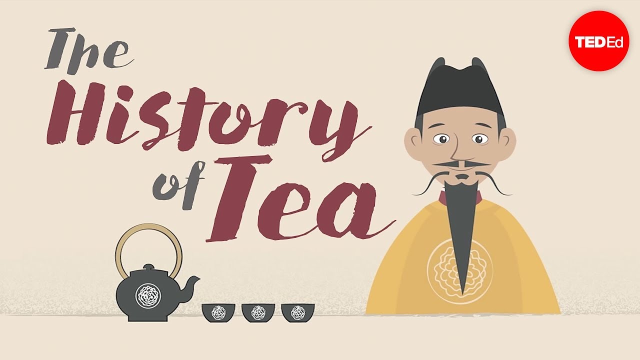 The history of tea – Shunan Teng