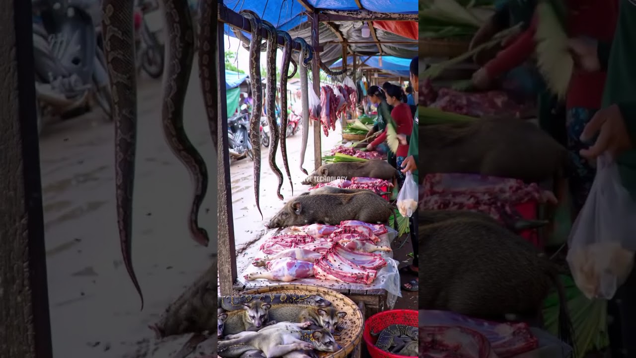 daily life in a traditional animal market@fahrurradhi-ai