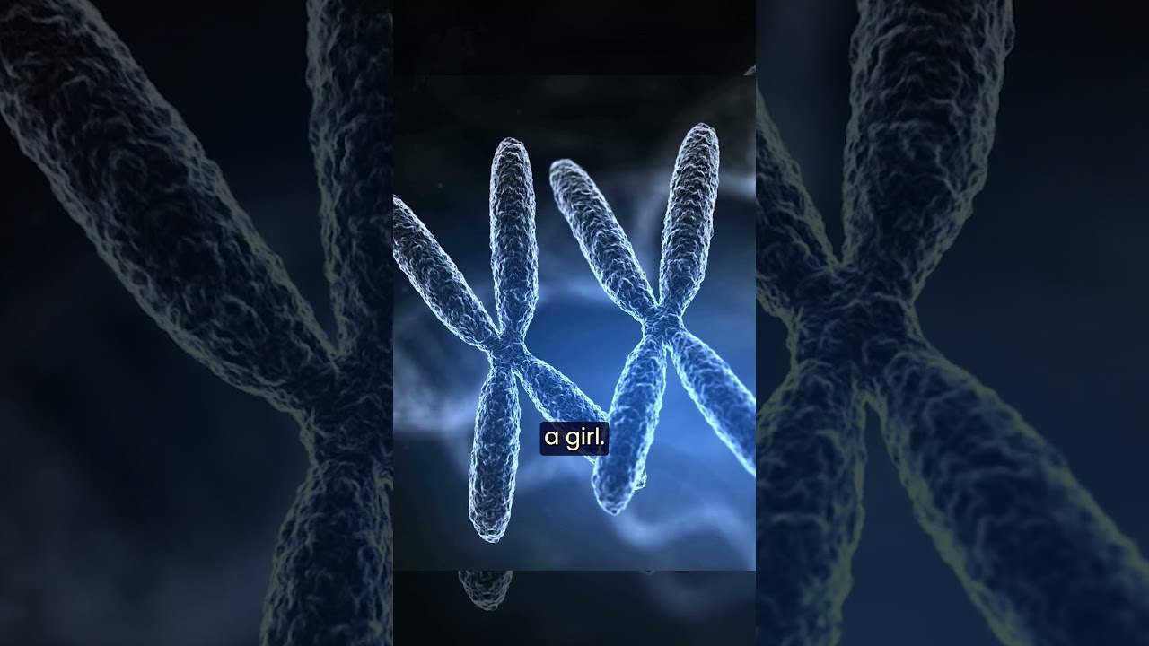 Science Can’t Explain the DNA of Jesus #frchrisalar #EucharisticMiracle #JesusDNA #FaithAndScience