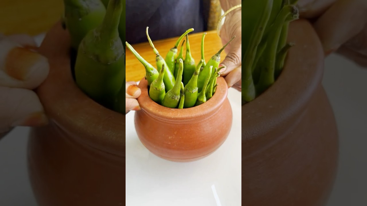 Hari Mirch Ka Achar ASMR #shorts #asmr #asmreating #asmrsounds #food #cooking #recipe #viral