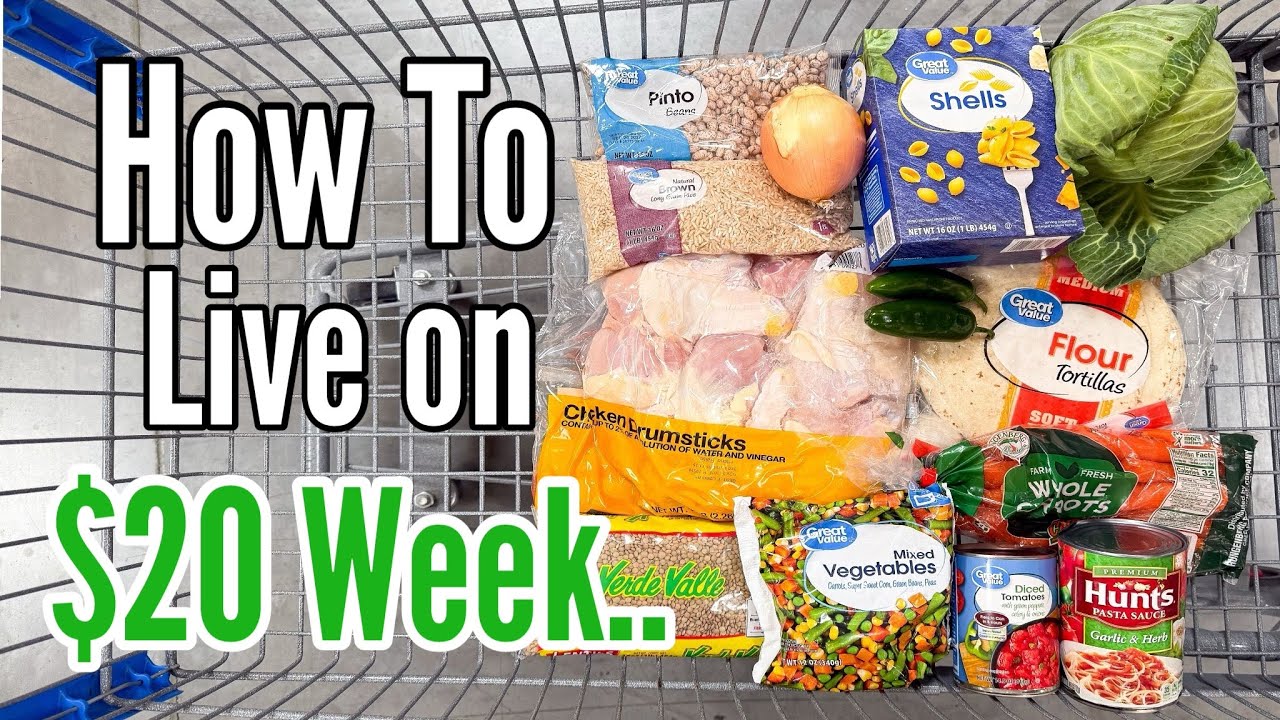 How to Eat DINNER For $20 a Week | Emergency Grocery Budget MealPlan | Tasty Recipes | Julia Pacheco