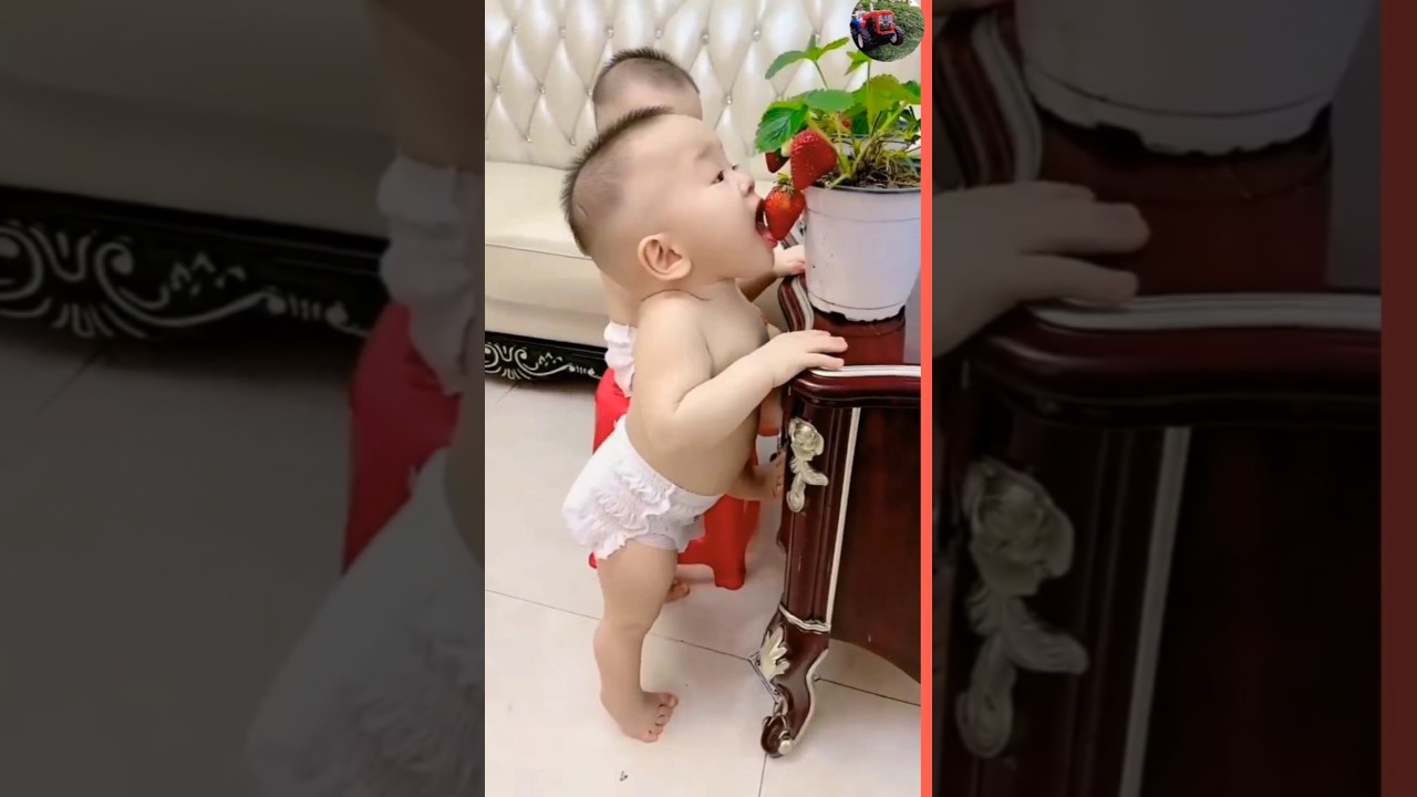 cute baby funny reaction 🤦😂 baby laughing video