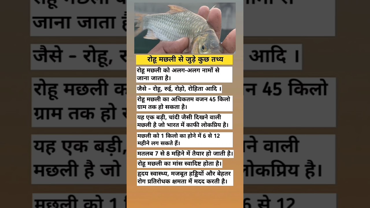 रोहू मछली से जुड़े कुछ तथ्य | rohu fish fact | #rajasthan #history #gk #facts #shorts #viral #video