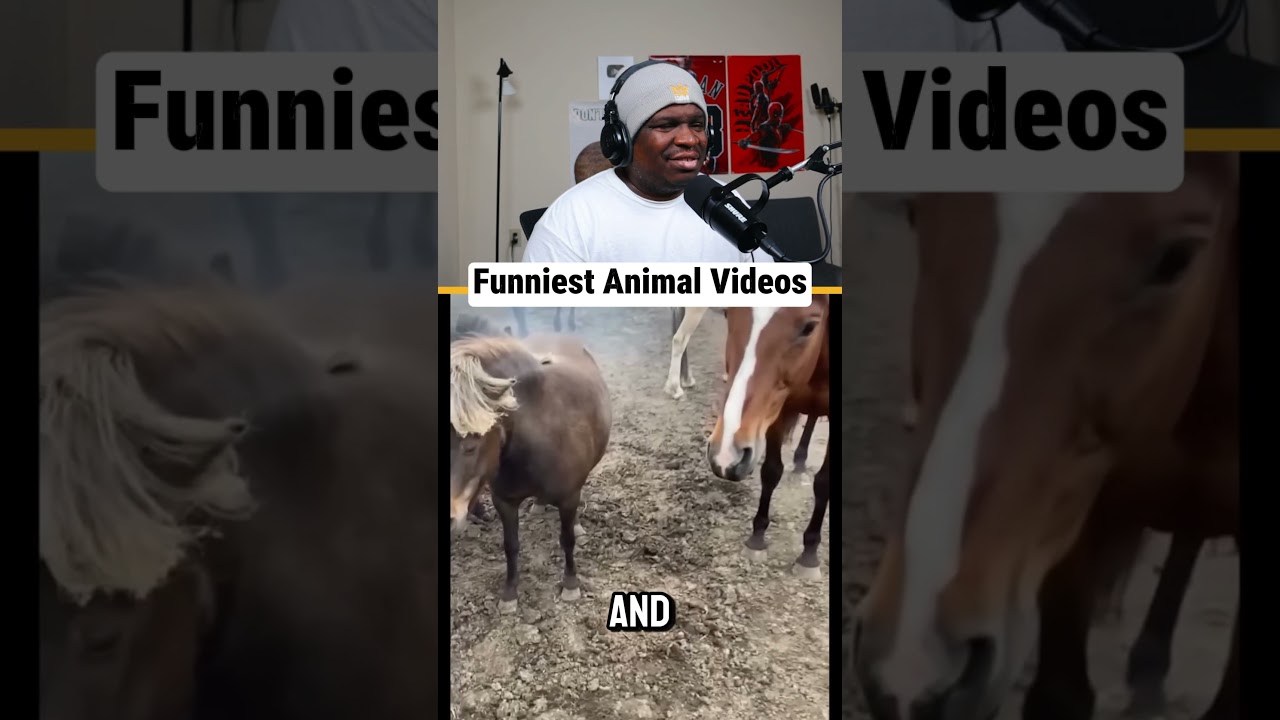 2 Funniest Animal Videos Ever Reaction 🤣