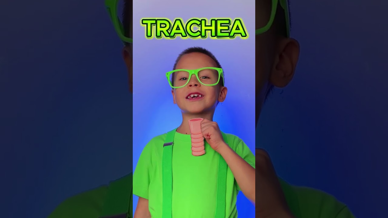 How Do We Breathe? 🌬️ Respiratory System Made Easy! #kids #learn