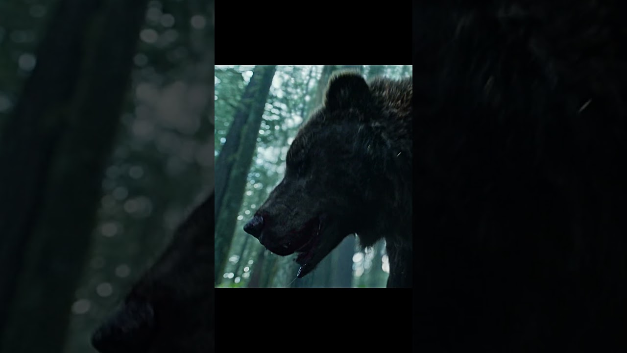Bear attack scene 😱 – The Revenant (2015)