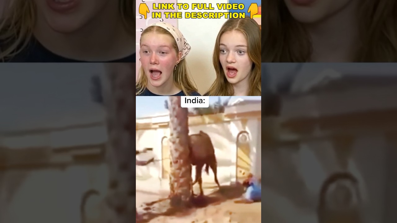 INDIA vs AMERICA #12  REACTION 😂