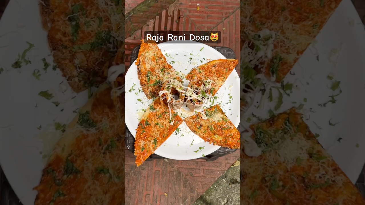 Mumbai Famous Raja Rani Dosa In Just 240/-😻 | Indian Street Food #shorts