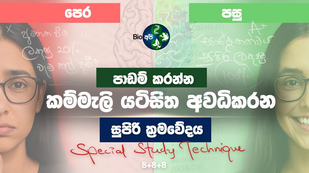 මේ වැඩේ කරොත් ඔයත් ගොඩ – Special 8+ Rule for Students  | Study Tips in Sinhala – Bio Api