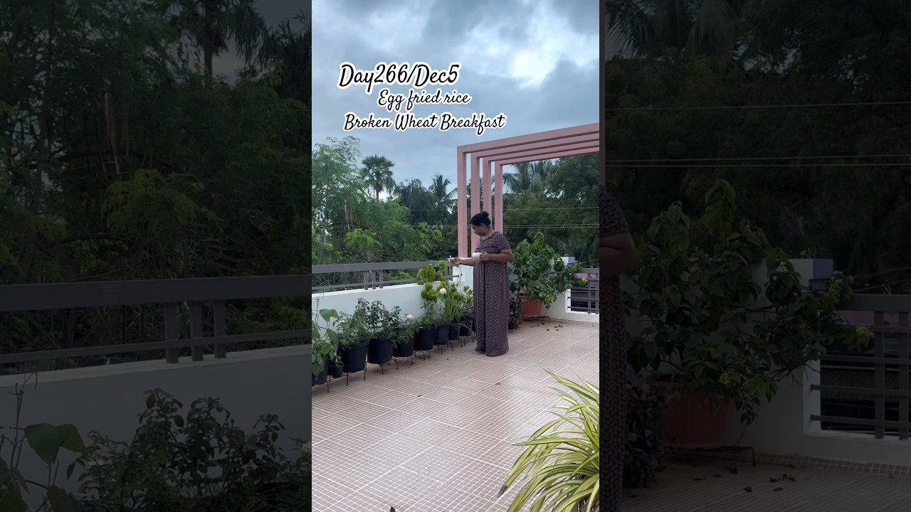 Day266:EggFriedRice #food #cooking #tamil #recipe #home #kitchen #lunch #breakfast #school #egg #day
