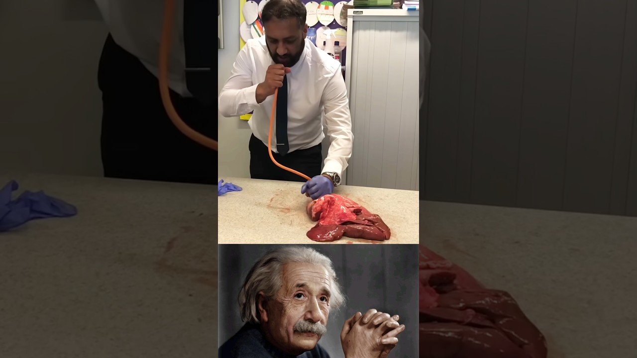 Sigma science experiment Albert Einstein 😱 Lung inflation in science Lesson 2025 #shorts #biology