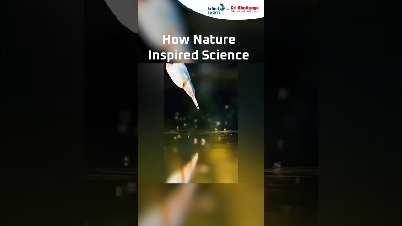 How Nature Inspired Science | Amazing Science Facts #shorts #education #physics