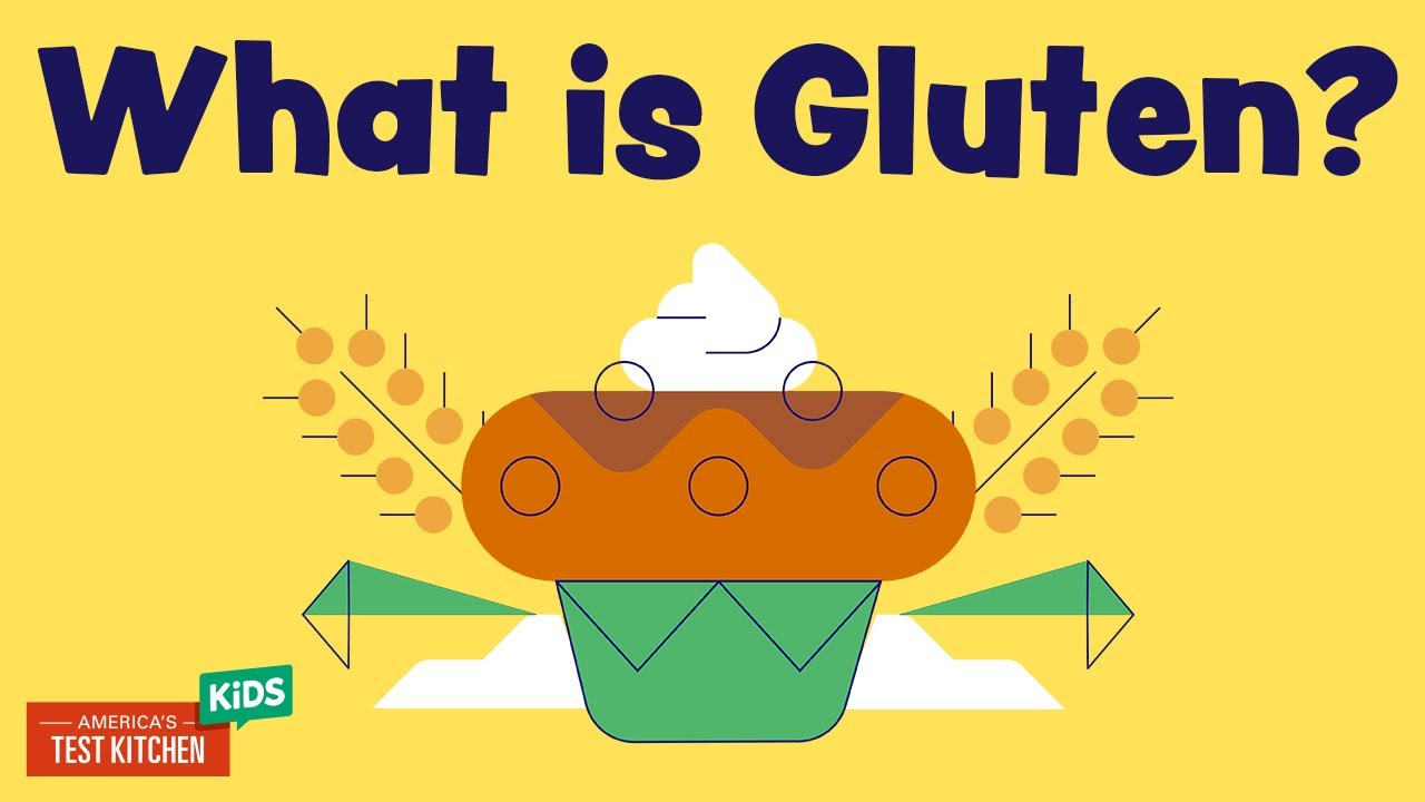 What is Gluten Anyway? | ATK Kids Food Science Explainers