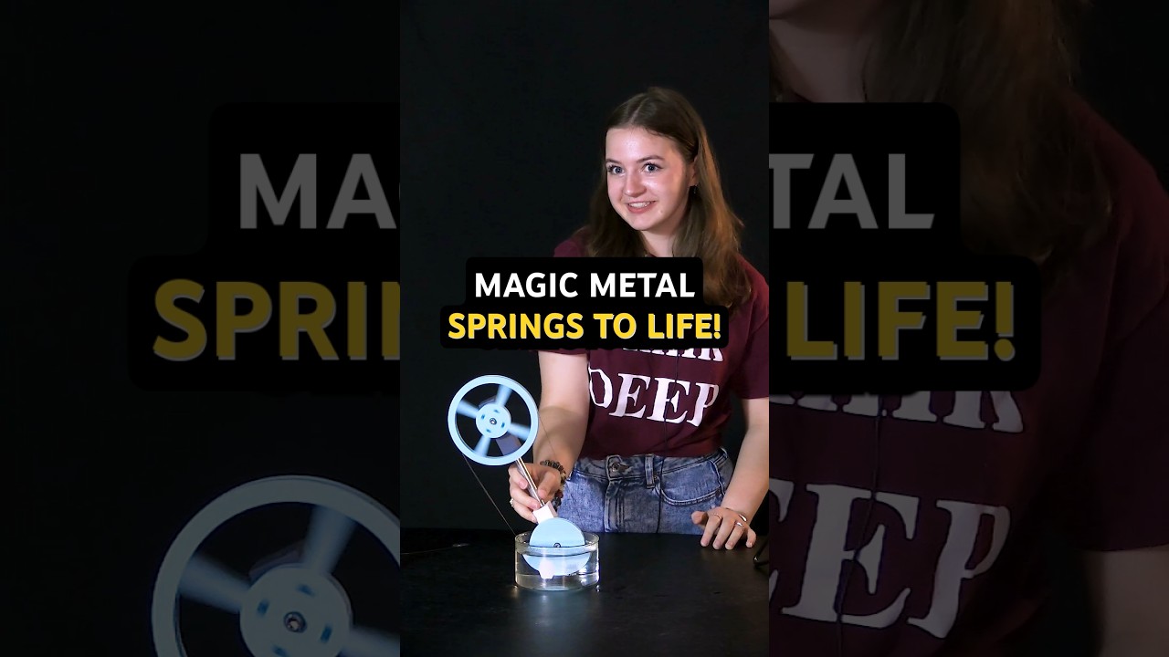 Magic metal springs to life from heat! But how?? #shorts #tamu #science