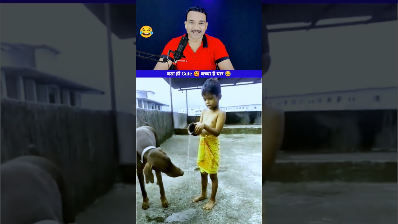 Funny Reaction Video 😂 | #funny #reaction #shorts #ytshorts #shortsfeed