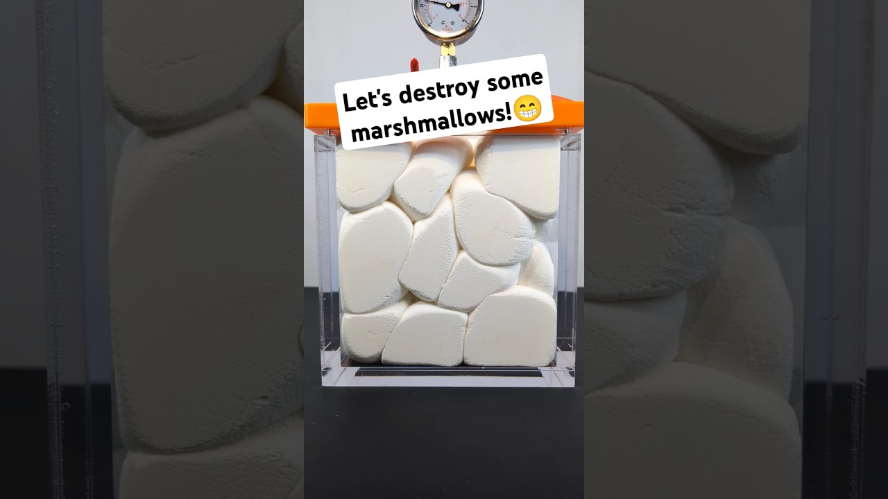 Full Bag of Marshmallows vs. Vacuum Chamber!🫣 #shorts #science