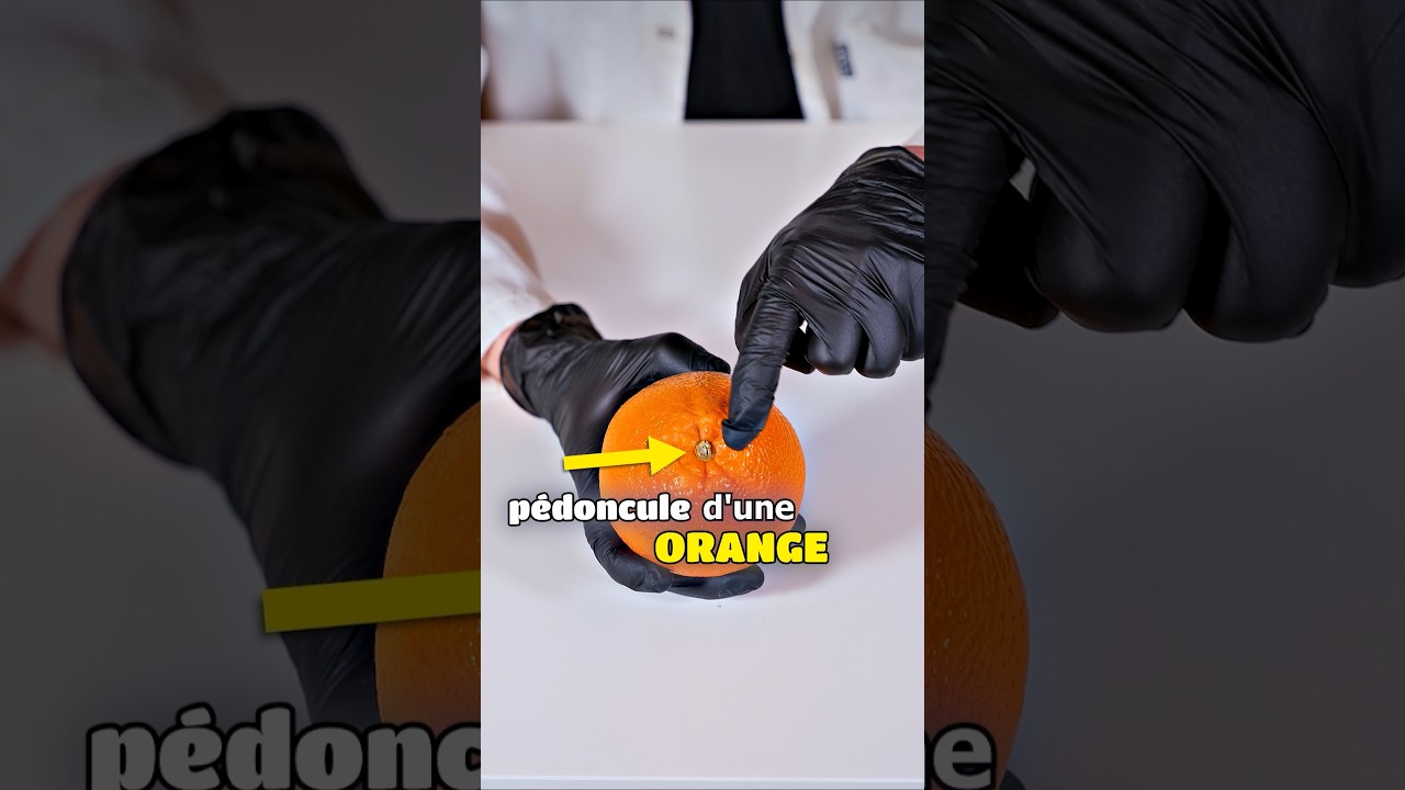 La fin est vraiment utile à savoir ! 🍊 #orange  #science #apprendre #scientifique