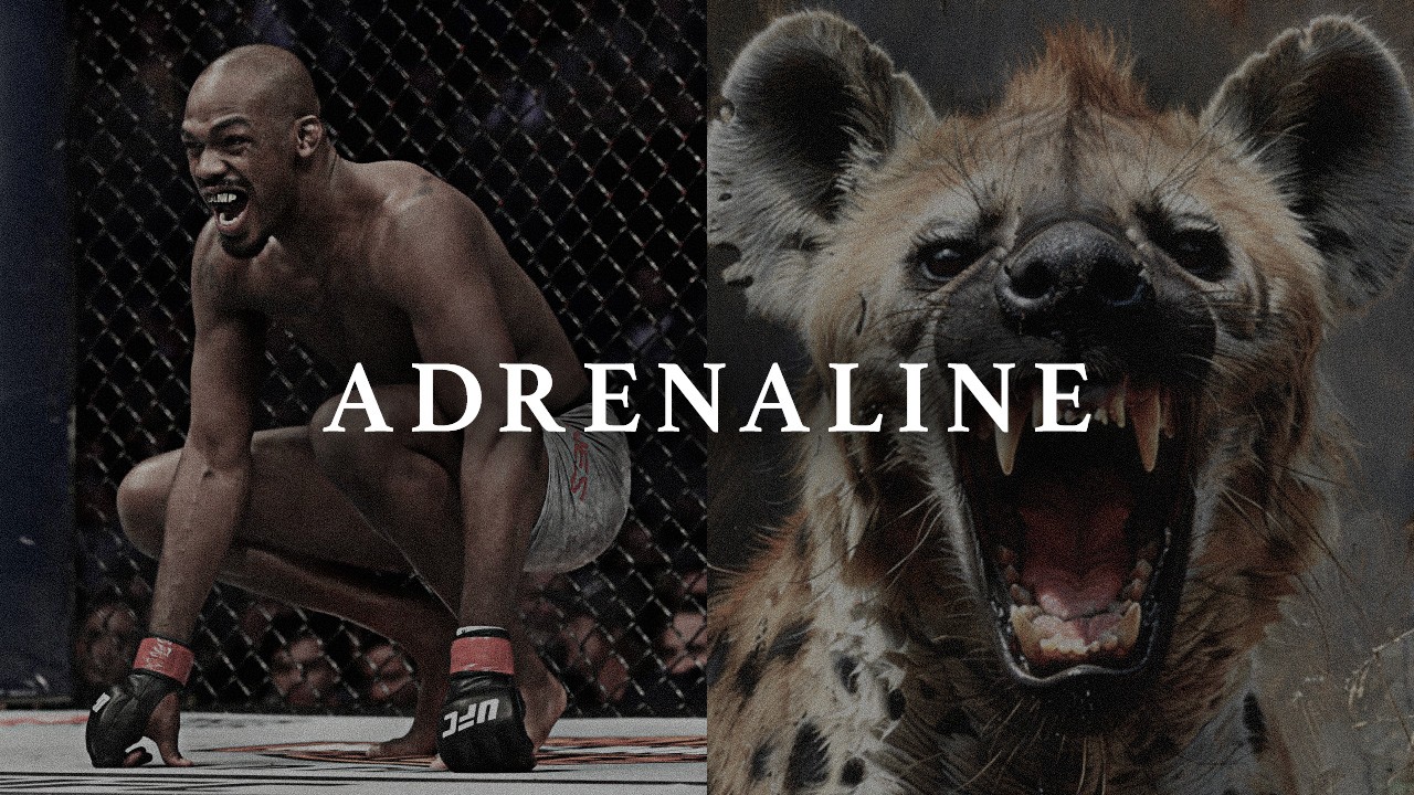 ADRENALINE – Best Motivational Speeches