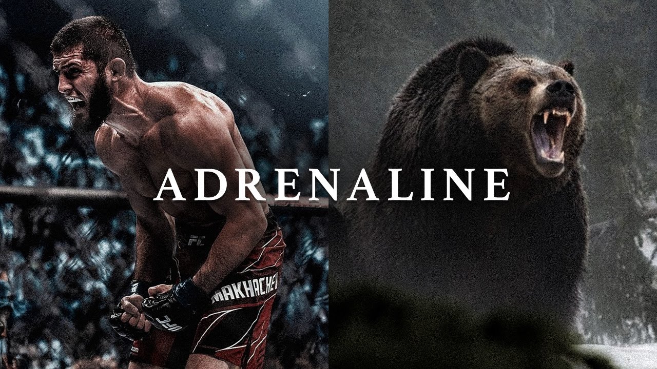 ADRENALINE 3.0 – The Most Powerful Motivational Speech Compilation