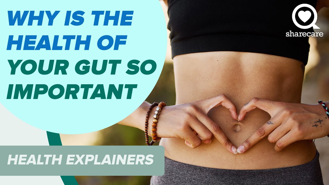 Why is the Health of Your Gut So Important | Health Explainers | Sharecare