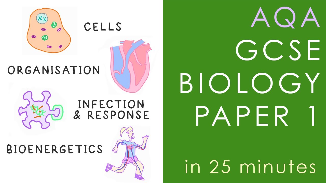 All of AQA BIOLOGY Paper 1 in 25 minutes – GCSE Science Revision