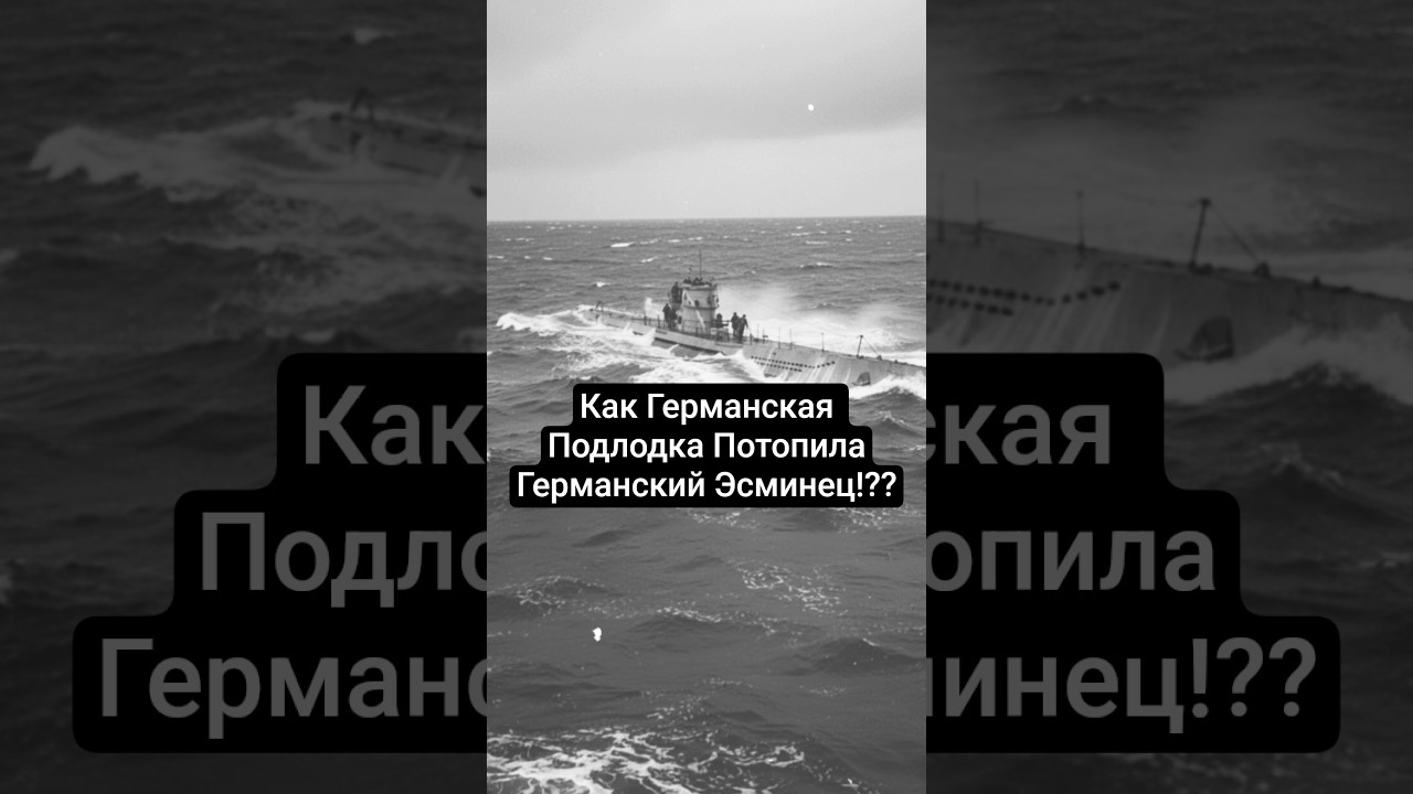 Смертоносная Петля Судьбы –  Как Немцы Уничтожили Корабль Немцев? #shorts  #history #военнаяистория