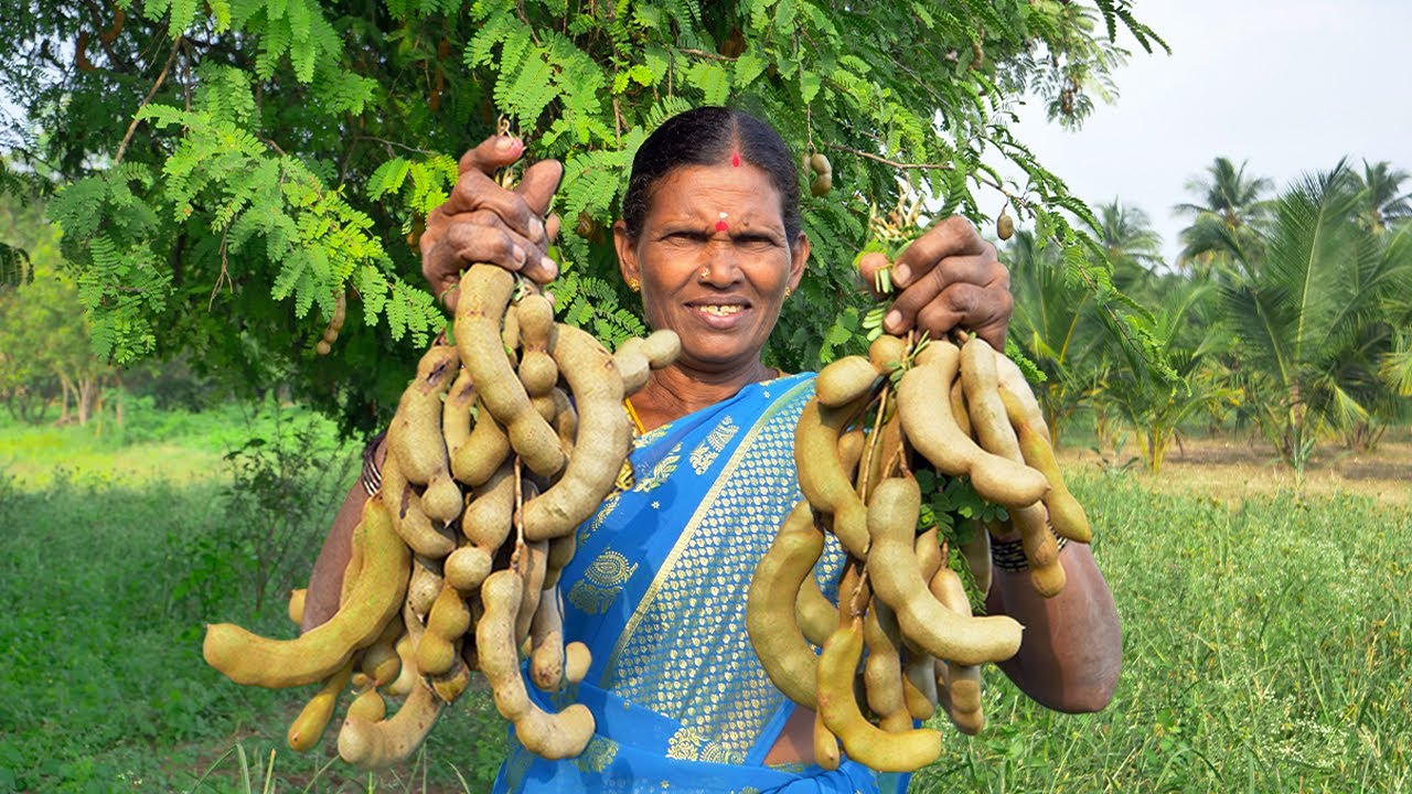 Roasted Tamarind Recipe | Rasam Cooking Village | Raw Tamarind Curry Recipe | Side Dish Recipes